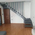 Rent 3 bedroom apartment of 75 m² in Terni