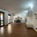 Rent 2 bedroom apartment of 50 m² in Mondovì