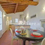 Rent 2 bedroom apartment of 50 m² in Florence