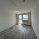 Rent 4 bedroom apartment of 92 m² in Chemnitz