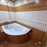 Rent 1 bedroom apartment of 46 m² in Krupka