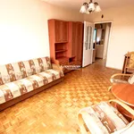 Rent 3 bedroom apartment of 45 m² in Toruń