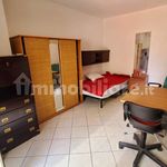 Rent 1 bedroom apartment of 30 m² in Rome