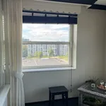 Huur 2 slaapkamer appartement van 302 m² in Eindhoven