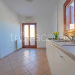 Rent 3 bedroom apartment of 80 m² in Olbia