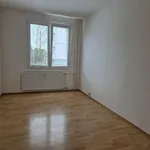 Rent 3 bedroom apartment in Tachov