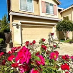 Rent 1 bedroom house in Santa Clara