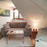 Rent 1 bedroom apartment of 33 m² in Halle (Saale)