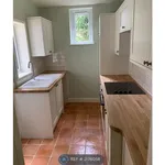 Rent 3 bedroom house in Norwich