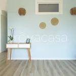 Rent 2 bedroom apartment of 45 m² in Ragusa