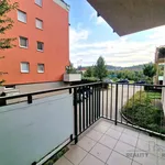 Rent 1 bedroom apartment in Brno