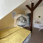 Rent 1 bedroom apartment of 18 m² in Praha