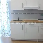 Rent 2 bedroom apartment of 55 m² in Vasto