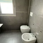 Rent 2 bedroom apartment of 50 m² in Ancona