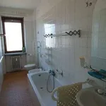 Rent 3 bedroom apartment of 80 m² in Turin