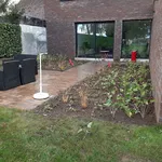 Huur 3 slaapkamer huis van 800 m² in Wetteren