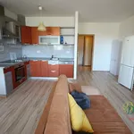 Rent 2 bedroom apartment of 71 m² in Hradec Králové