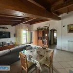 Rent 3 bedroom apartment of 80 m² in Rome