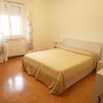 Rent 3 bedroom apartment of 80 m² in Follonica