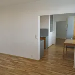 Pronajměte si 3 ložnic/e byt o rozloze 70 m² v Jankovice u Uherského Hradiště