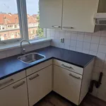 Rent 2 bedroom apartment of 62 m² in Geuzenkwartier