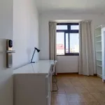 Rent 2 bedroom apartment of 600 m² in lisbon