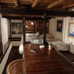 Rent 1 bedroom apartment in Florence