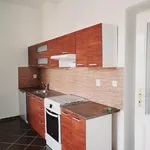 Rent 3 bedroom apartment in  Žižkov                        					