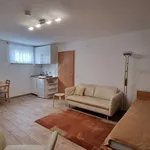 Rent 1 bedroom apartment of 33 m² in Frankfurt