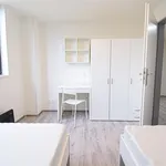 Rent 3 bedroom apartment of 32 m² in Brno