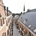 Rent 1 bedroom apartment in DENDERMONDE