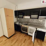 Pronajměte si 1 ložnic/e byt o rozloze 48 m² v Prague