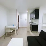 Rent 1 bedroom apartment of 30 m² in Madrid