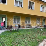 Rent 2 bedroom apartment of 40 m² in Torino