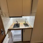 Rent 1 bedroom apartment of 33 m² in Prague