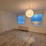 Rent 2 bedroom apartment of 46 m² in Ústí nad Labem