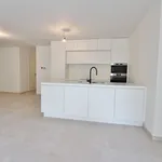 Rent 1 bedroom apartment in Sint-Truiden