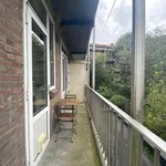 Huur 2 slaapkamer appartement van 55 m² in Stadionbuurt