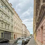 Rent 2 bedroom apartment of 41 m² in Capital City of Prague