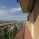 Rent 6 bedroom apartment of 110 m² in Genoa