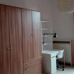 Rent a room in bologna