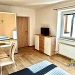 Rent 1 bedroom house in Uherské Hradiště