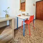 Alquilar 4 dormitorio apartamento en Valencia