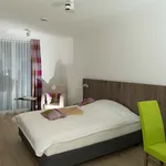 Miete 1 Schlafzimmer wohnung in Munich