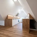 Rent 3 bedroom apartment in Liberec