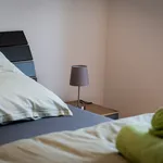 Miete 2 Schlafzimmer wohnung von 52 m² in Magdeburg