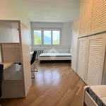 Rent 4 bedroom apartment of 90 m² in Trento