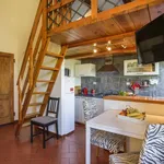 Rent 2 bedroom apartment of 45 m² in Florence