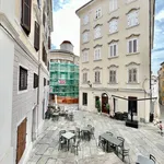 Rent 1 bedroom apartment of 25 m² in Trieste