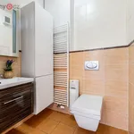 Rent 5 bedroom apartment of 225 m² in Praha